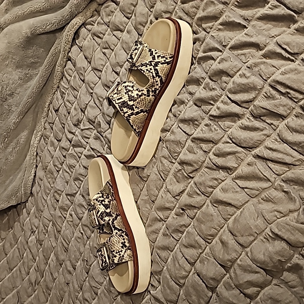 Snake Platform Slides - image 3